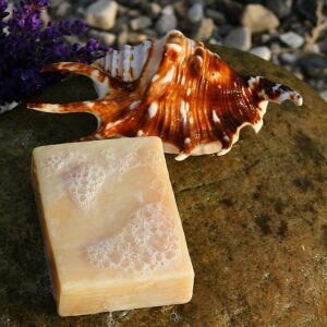 picture stolen from wikimedia commons